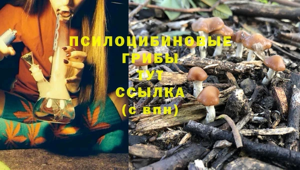 дмт Балабаново
